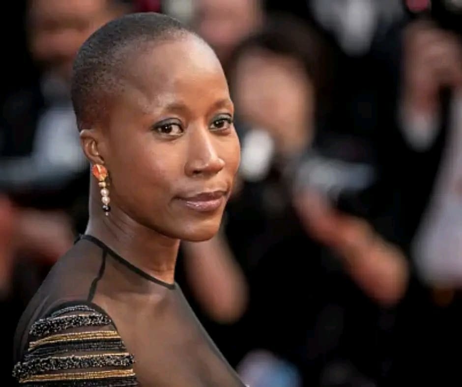 Le 21 juin 2024, Rokia Traoré est interpellée à l'aéroport de Fiumicino, à Rome, en vertu d'un mandat d'arrêt européen émis par la Belgique