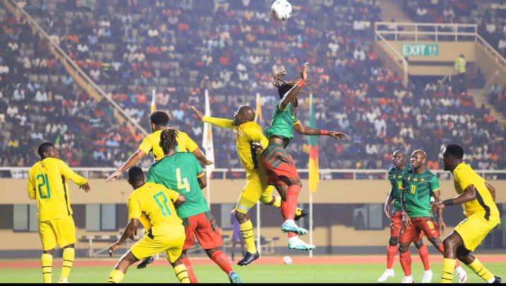 L’année 2024 dans la tanière des Lions indomptables a connu des débuts calamiteux avec pour point central les batailles du sélectionneur Marc Brys 