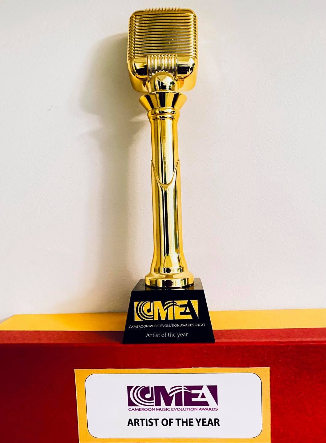 il détient à son actif plus de 20 titres solo dont le succès phénoménal retentit toujours.