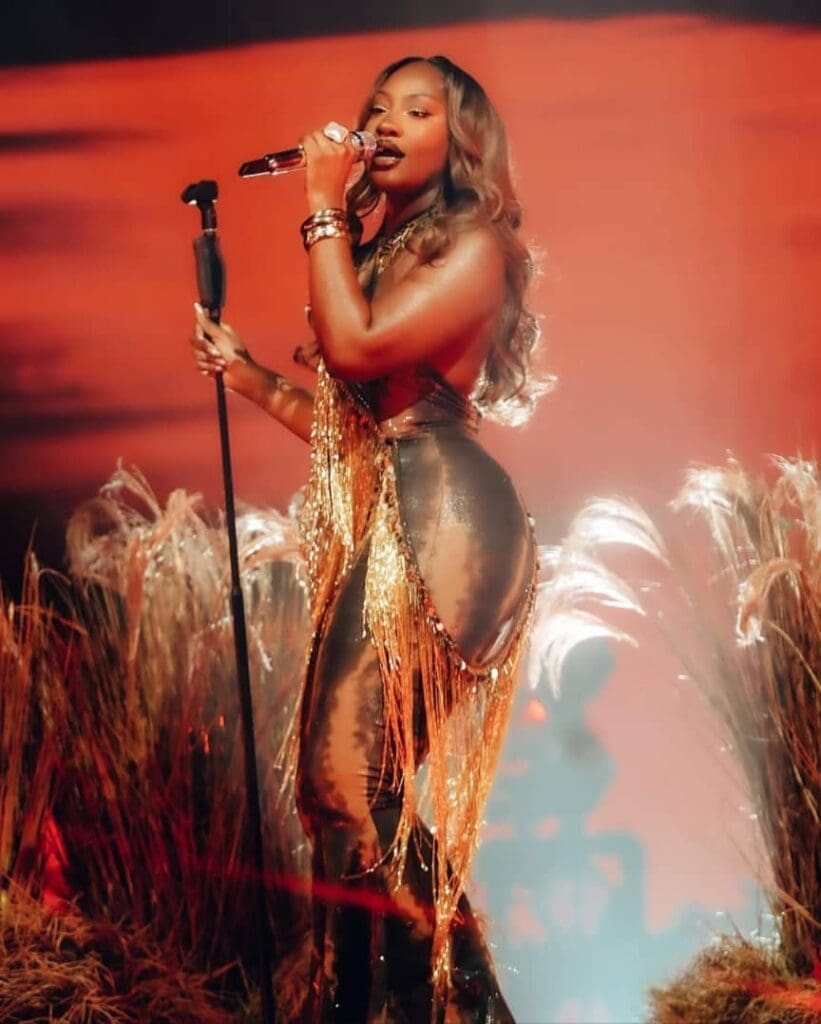 Tems devient la première femme africaine copropriétaire d’un club de MLS