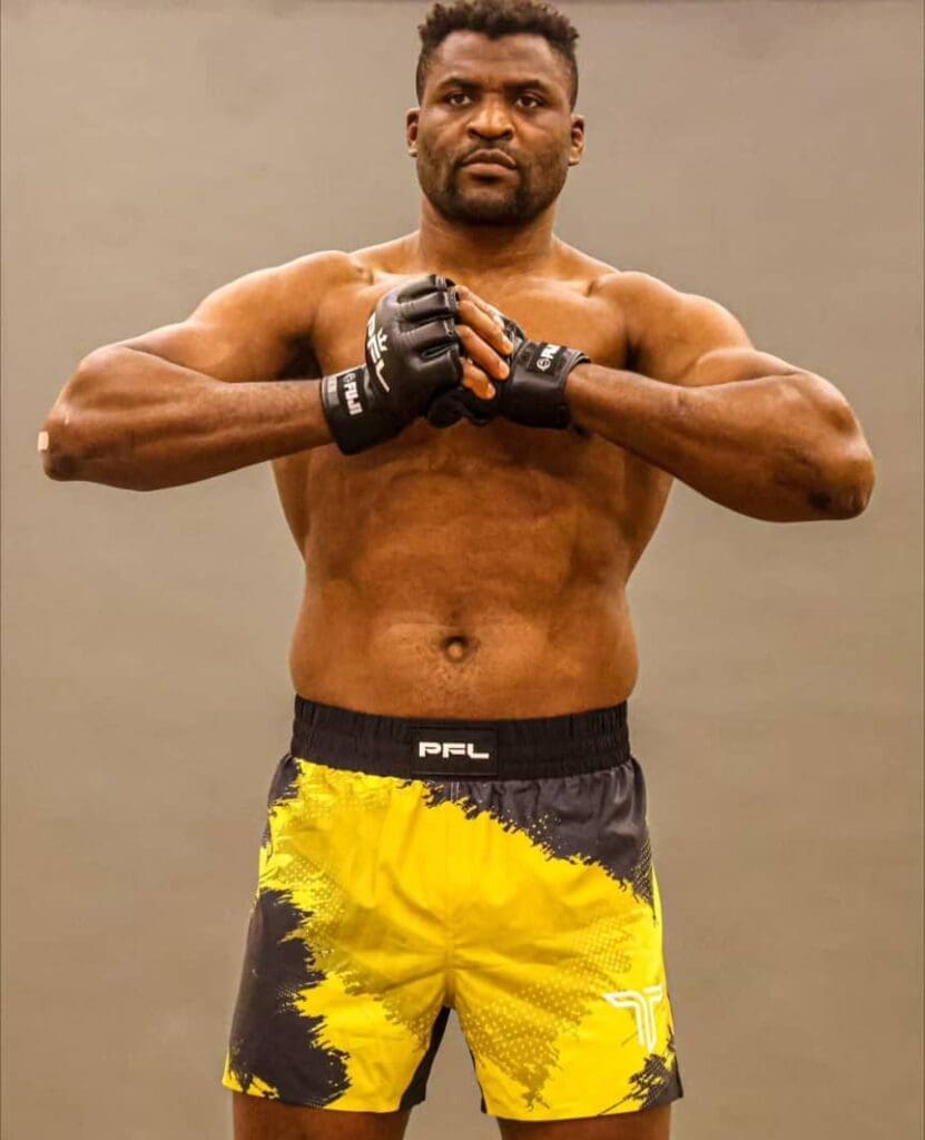 Francis Ngannou plan retraite