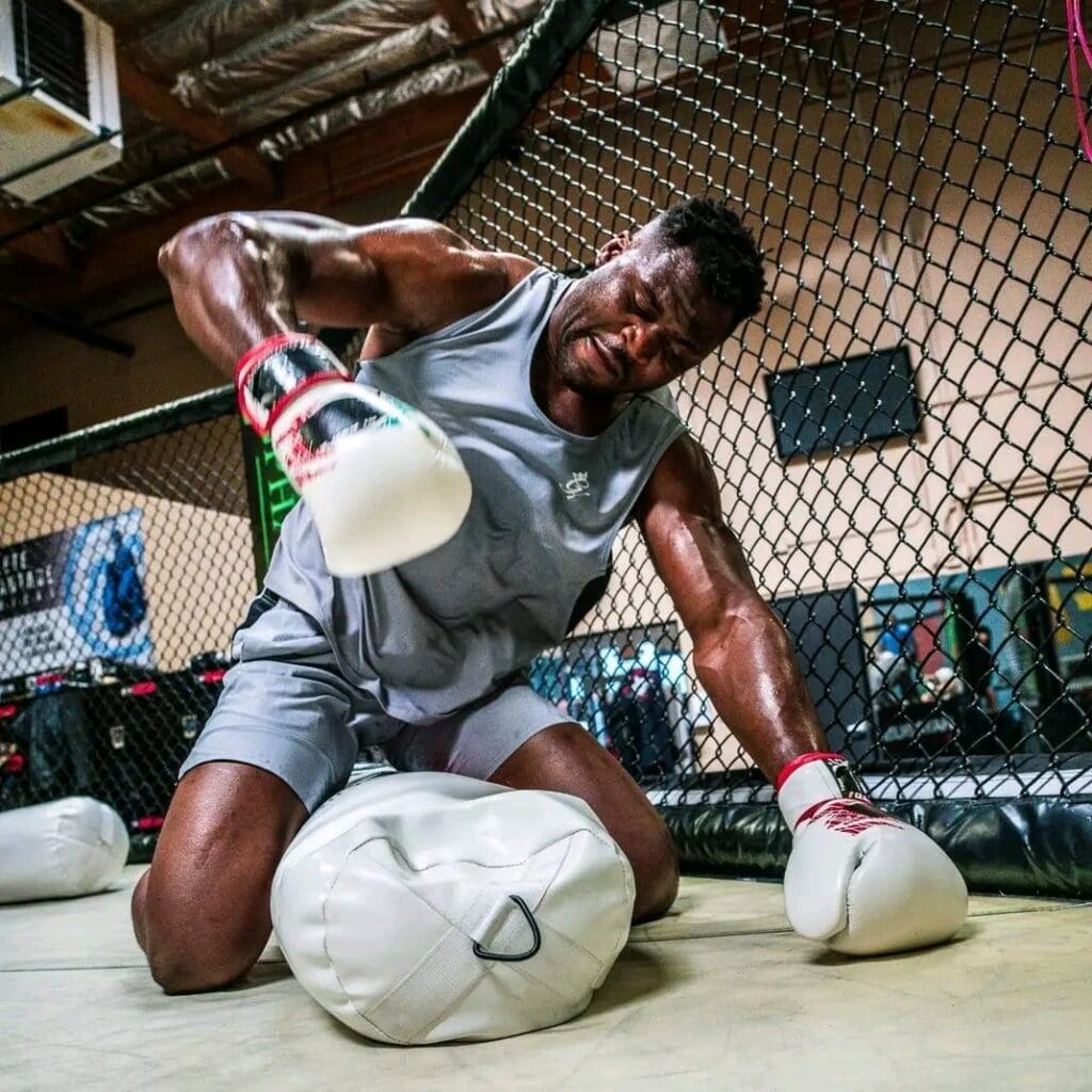 Donn Davis propose 50 millions de dollars à Jon Jones pour un combat contre Ngannou