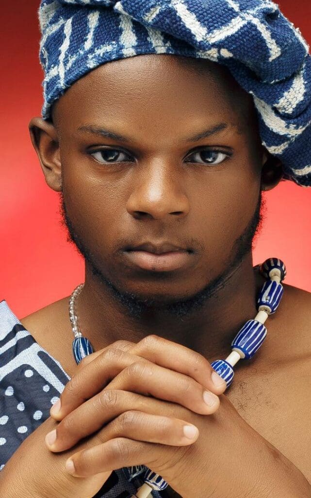 À l’ère du numérique, la voix des célébrités ne se limite plus aux tapis rouges ou aux sorties d’albums. Sur Instagram, Facebook, TikTok ou 