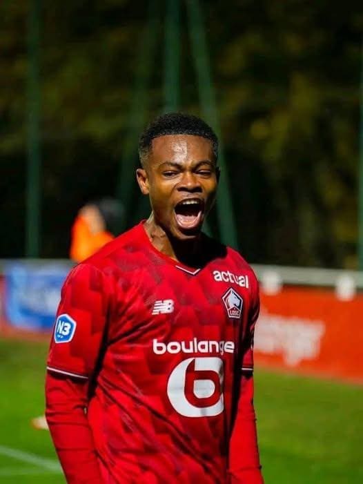 les Lions rugissent en Europe et sur les aires locales